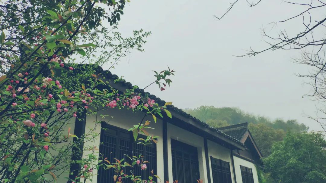 杭州茶書(shū)院?jiǎn)⒛?| 當(dāng)代「韓熙載夜宴」，復(fù)現(xiàn)中國(guó)文人雅趣生活插圖16