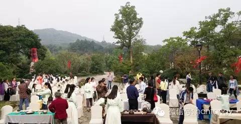 “漢唐杯”生活茶席設(shè)計(jì)比賽佳作頻出，完美落幕插圖